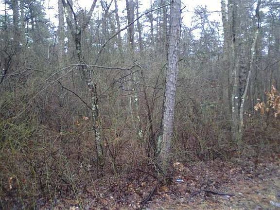 2nd image of 6862 Millville Ave