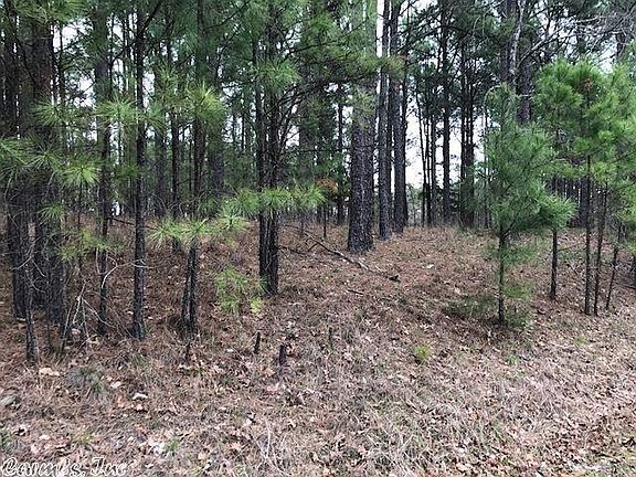 2nd image of 51 Altiplano Cir