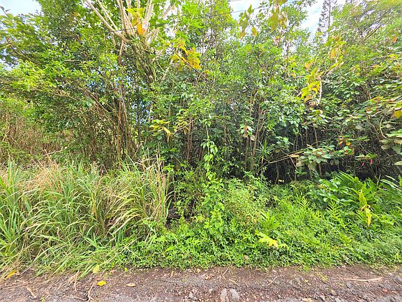 4th image of Aloha Rd Lot 172