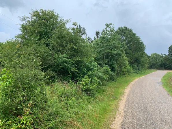 0 Albert Rayburn Rd, Columbia, MS 39429