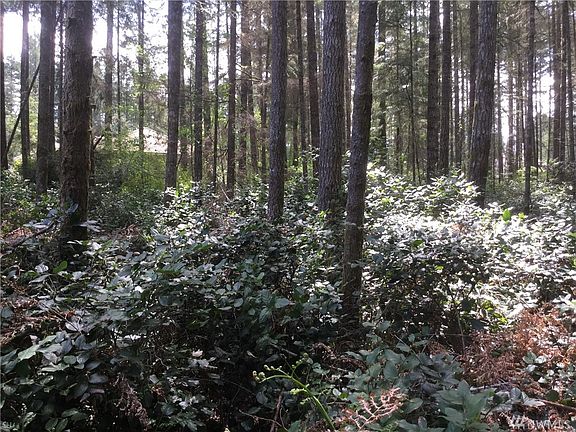 5th image of 6224 McCormick Woods Dr SW