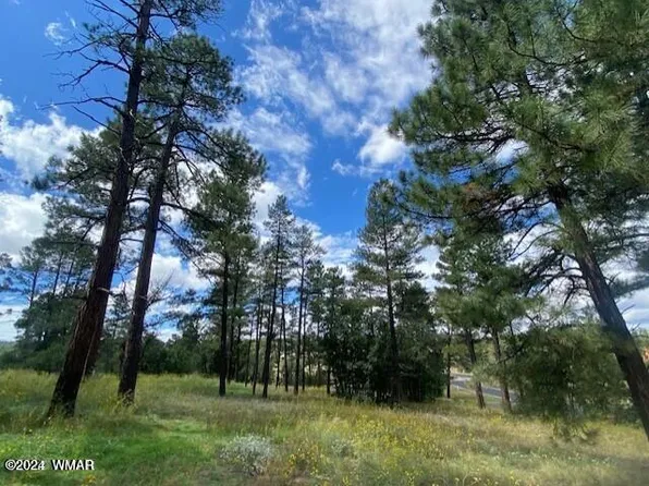 2500 Whispering Springs Rd, Show Low, AZ 85901