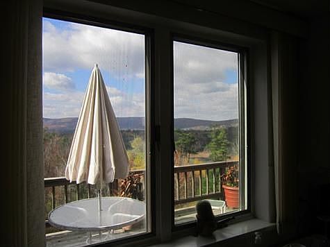 view from kitchen sink