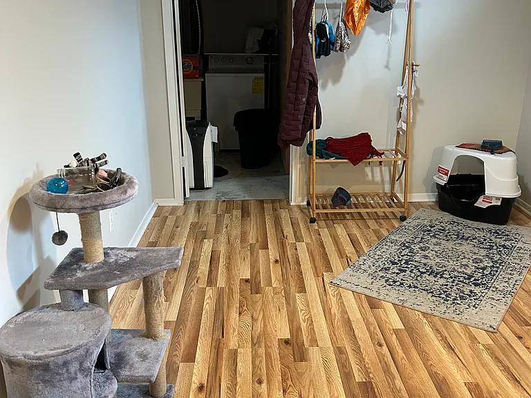 Lower level Family room