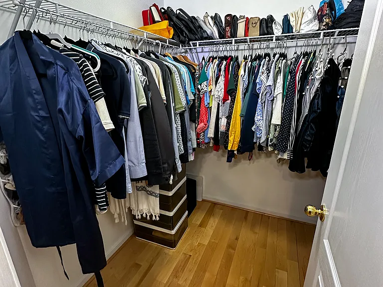 walk-in closet in master bedroom