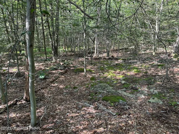 LOT 87 Sunfish Ct, Canadensis, PA 18325