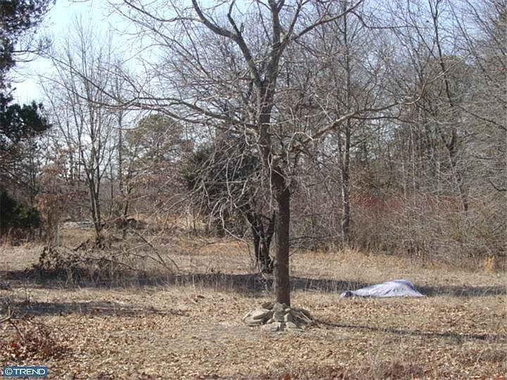 2nd image of 380 Magnolia Rd