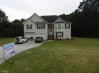 10935 Hondal Ct, Hampton, GA 30228