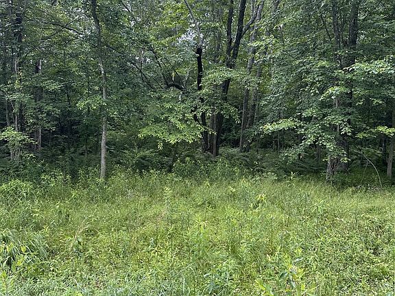 5th image of 3119 Crow Dr