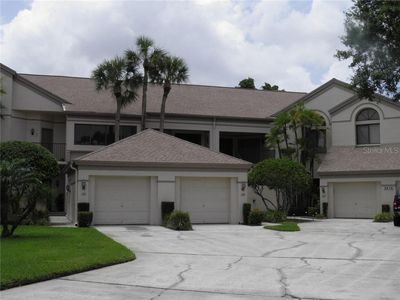 3014 Red Oak Ct APT 202, Palm Harbor, FL, 34684