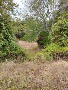 245 Denlu Rd, Kerrville, TX, 78028