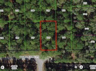 2809 W Grapevine Ct, Dunnellon, FL 34433