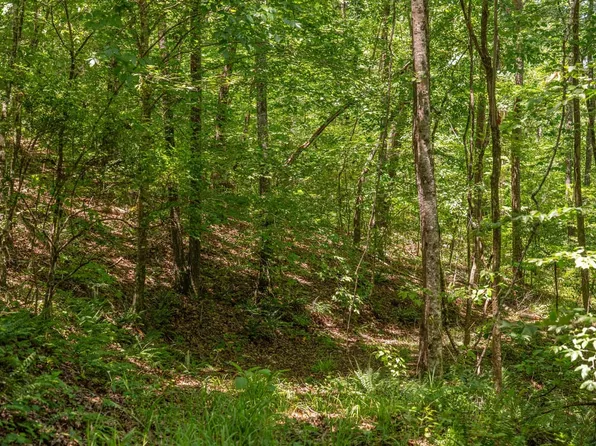 Mountain View Ln, West Blocton, AL 35184