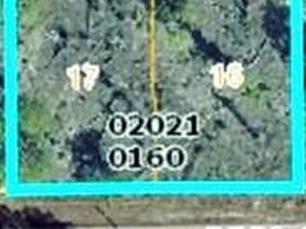 1111 Pisa ST E, LEHIGH ACRES, FL 33974