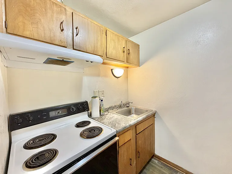 430 Harrison Ave #308 — Photo 7
