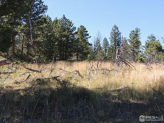 2nd image of 145 N Devils Creek Trl