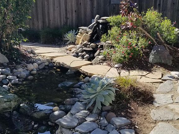 Front yard