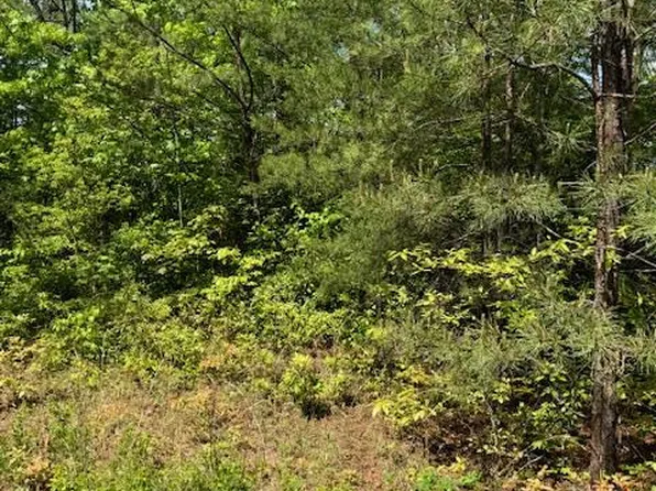 LOT 12 Paradise, Marble, NC 28905