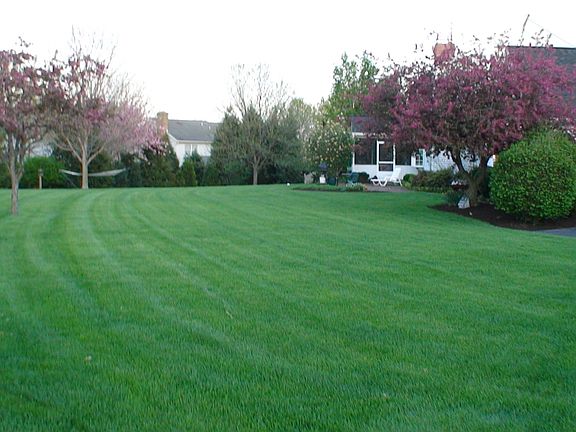 Half Acre Lot
