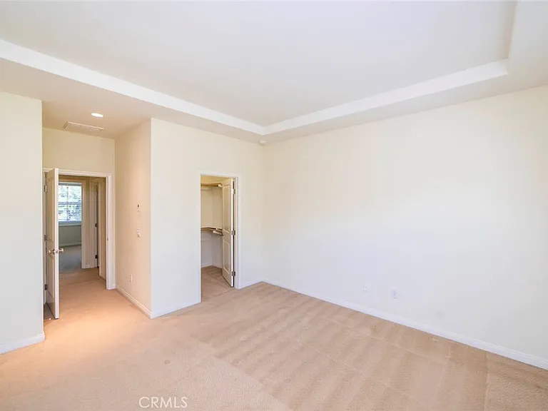 33 Bromeliad — Photo 22