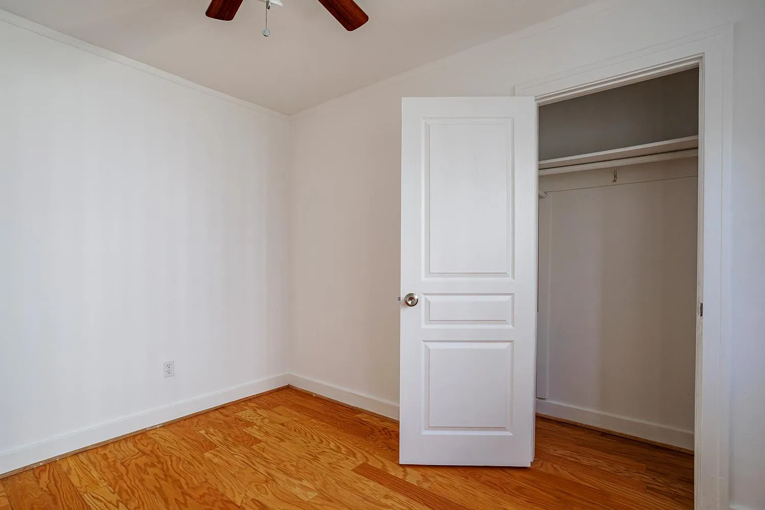 1 bed, 482 sqft, $2,200 — Photo 2