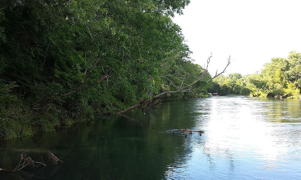 Shoreline looking north