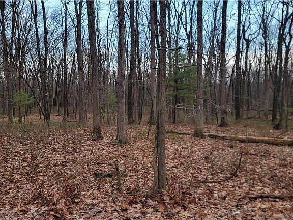 4th image of 300 Pohopoco Cir Lot 114