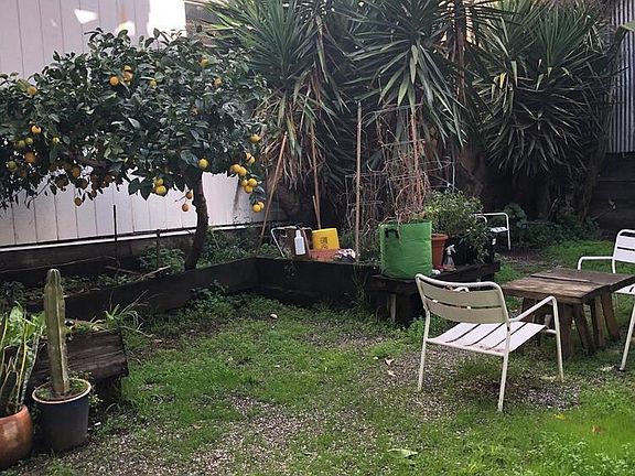 Back yard.