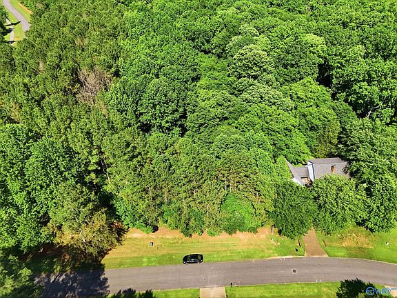3rd image of LOT 1 Poplar Dr
