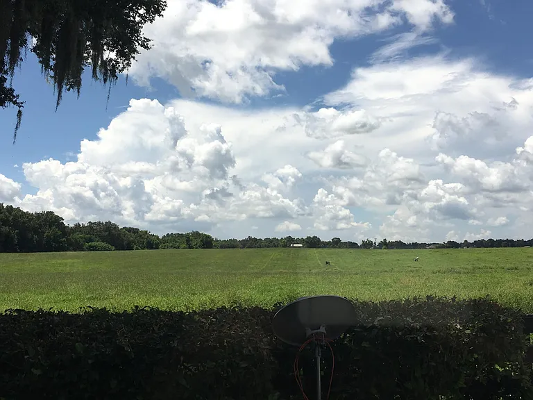 View from backyard