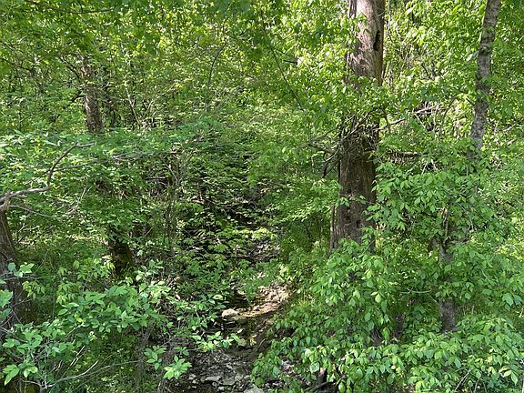 4th image of 330 Claiborne Ln Lot 4