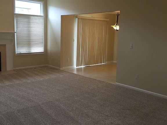 Living Room-new carpet