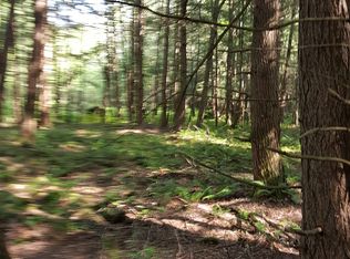 State Rte #220, McDonough, NY 13801