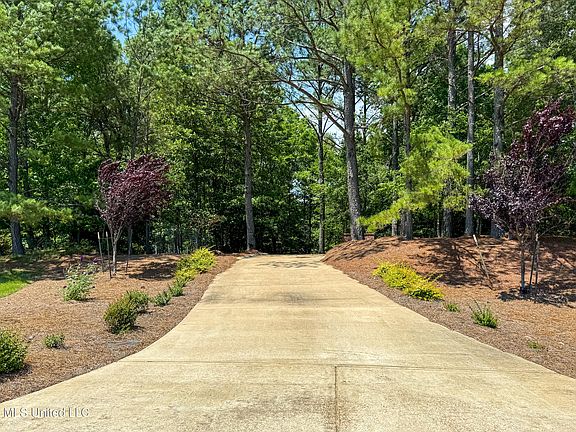 4th image of 3010 Highlands Cir
