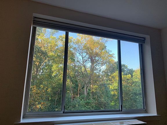 Expansive window to the park