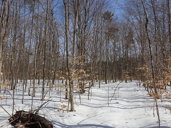 2nd image of Walker Rd NW