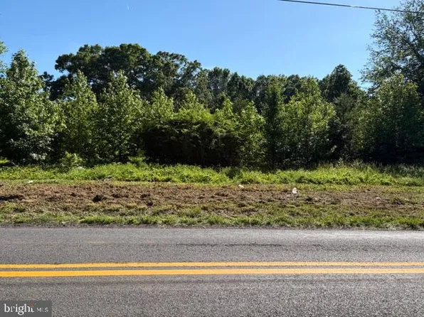 0 Gold Dale Rd, Locust Grove, VA 22508