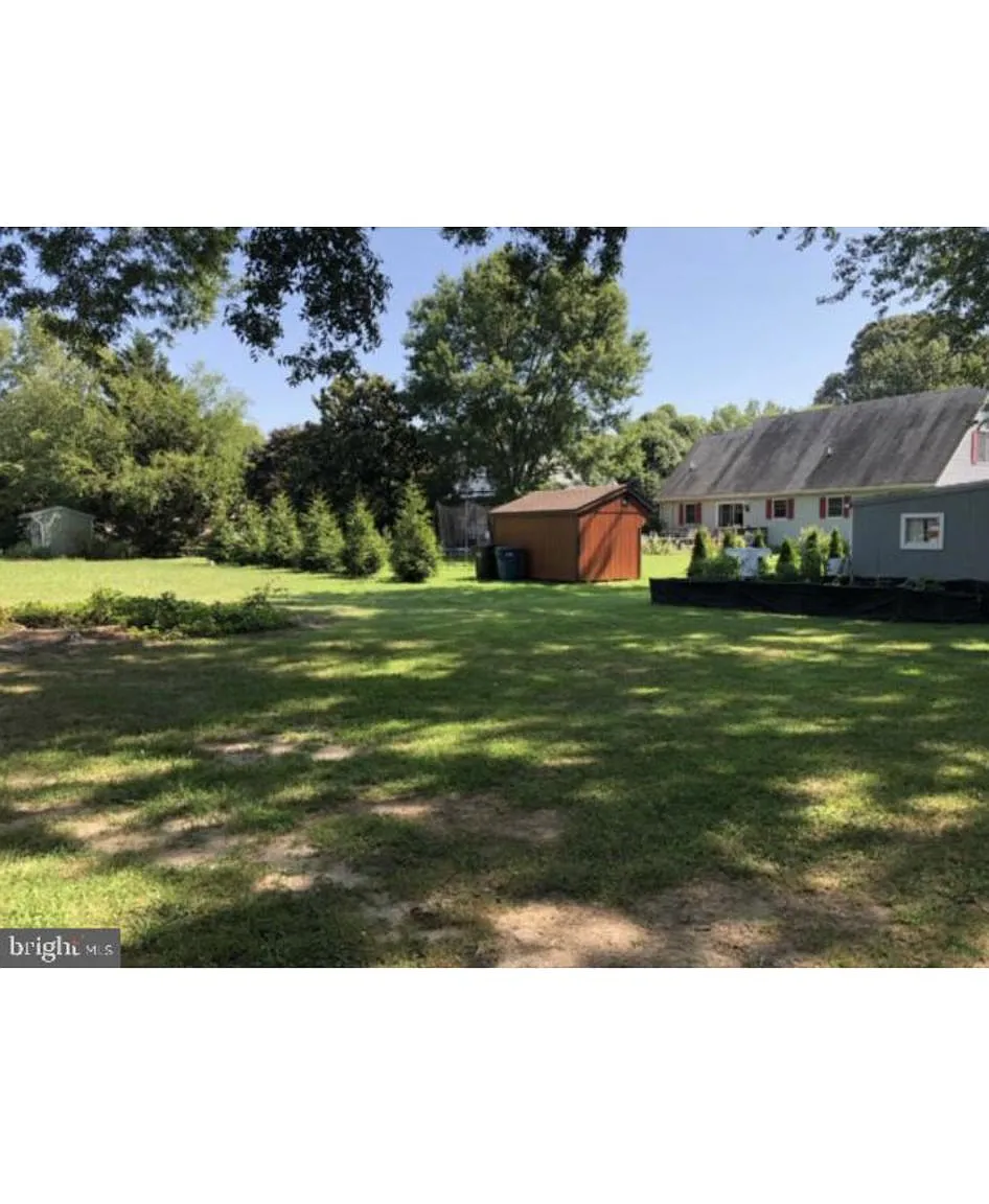 2 bed, 800 sqft, $1,450 — Photo 2