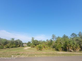 12528 Harris Hawk Rd, Weeki Wachee, FL 34614