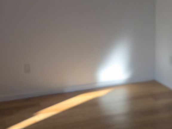 3rd image of 316 Summer Ave APT 2