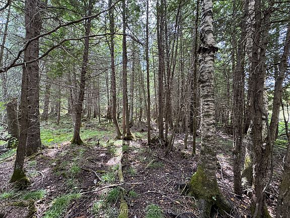 3rd image of 189 Schimmens Rd