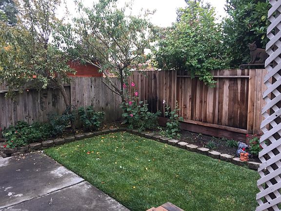 Back garden area by patio have changed the grass area t wd chips for water savngs