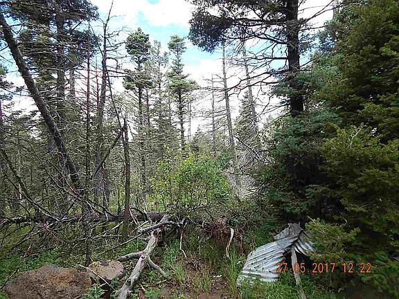 5th image of LOT 1225 Rainbow Overlook Lot 1225