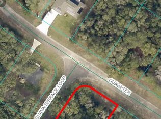 0 Guava Ter #4, Ocklawaha, FL 32179