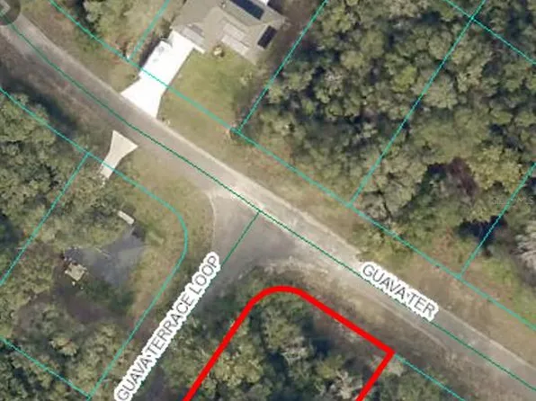 0 Guava Ter #4, Ocklawaha, FL 32179