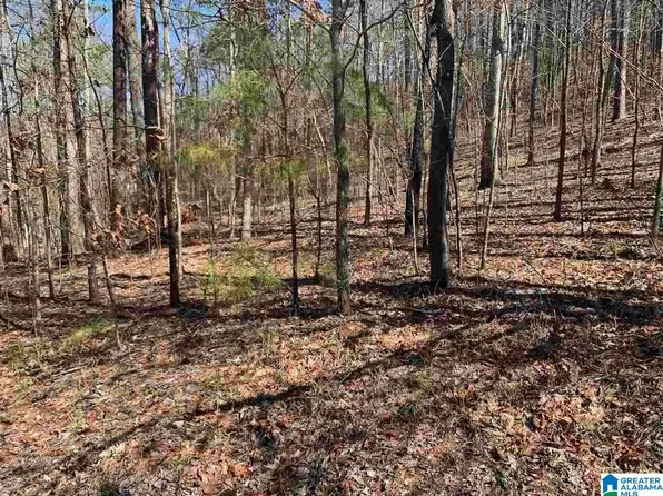 8511 Scenic Ridge Dr #41, Pinson, AL 35126