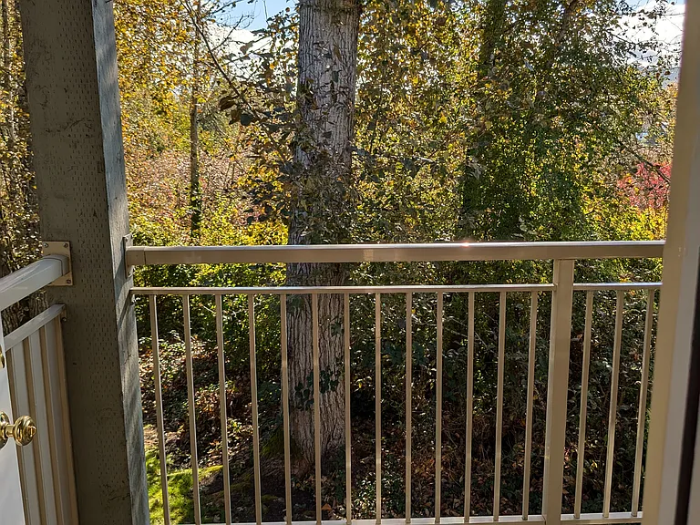 Patio View