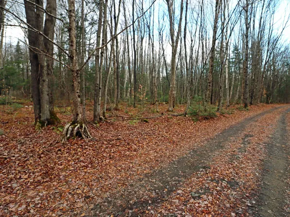 State Garage Road, Milan, NH 03588