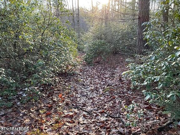 5th image of 435 Cumberland Cove Rd #1