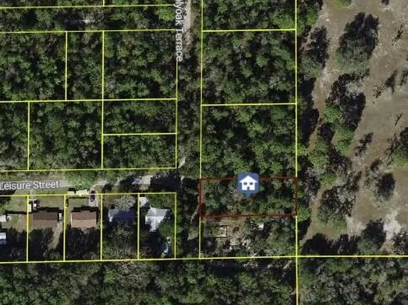 10013 N Holyoak Ter, Dunnellon, FL 34433
